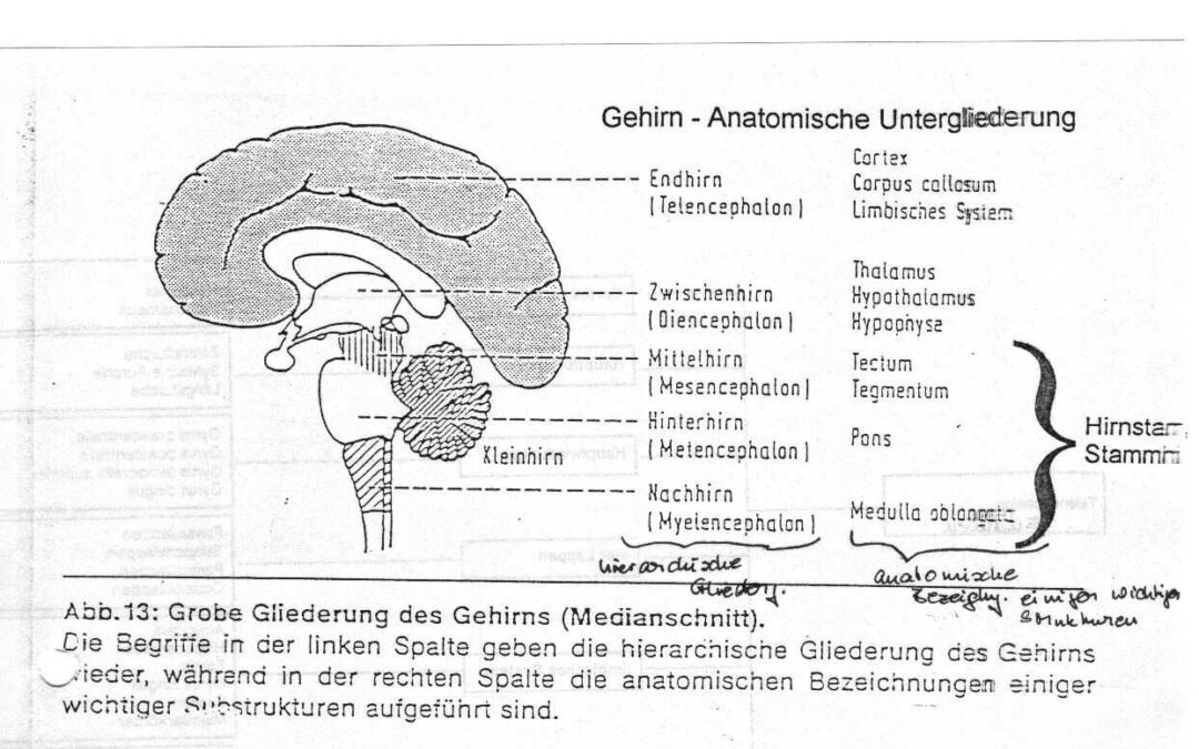 Psychosomatik Seite 2